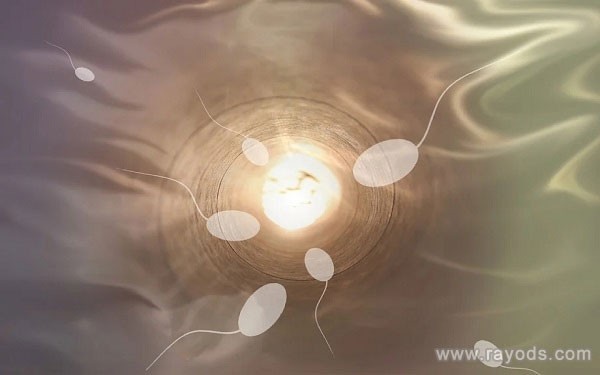 输卵管不通适合做试管婴儿吗？