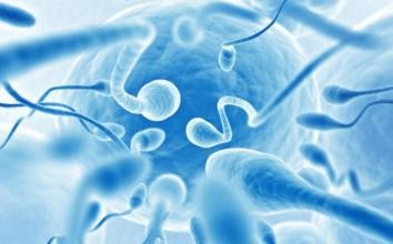 胚胎移植反复失败，这些原因你查了吗？