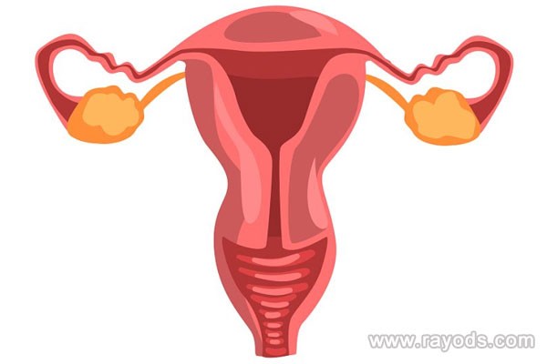 做试管婴儿，子宫内膜容受性太差怎么办？